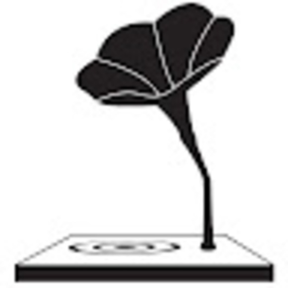 Meet your Posher, Keaton - Picture 1 of 1